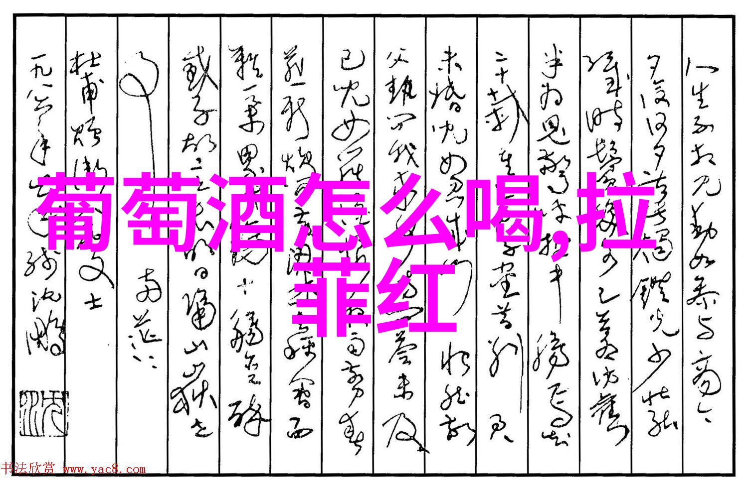 奔富葡萄酒中的Shiraz系列有哪些备受推崇的佳作